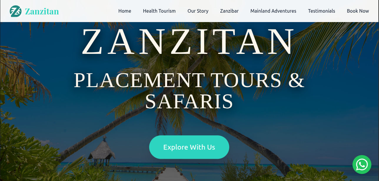 Zanzitan Website Screenshot